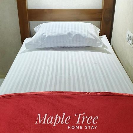 Maple Tree Homestay Maguwo Buitenkant foto