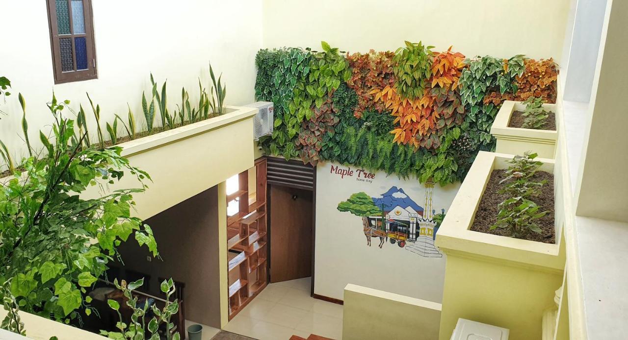 Maple Tree Homestay Maguwo Buitenkant foto