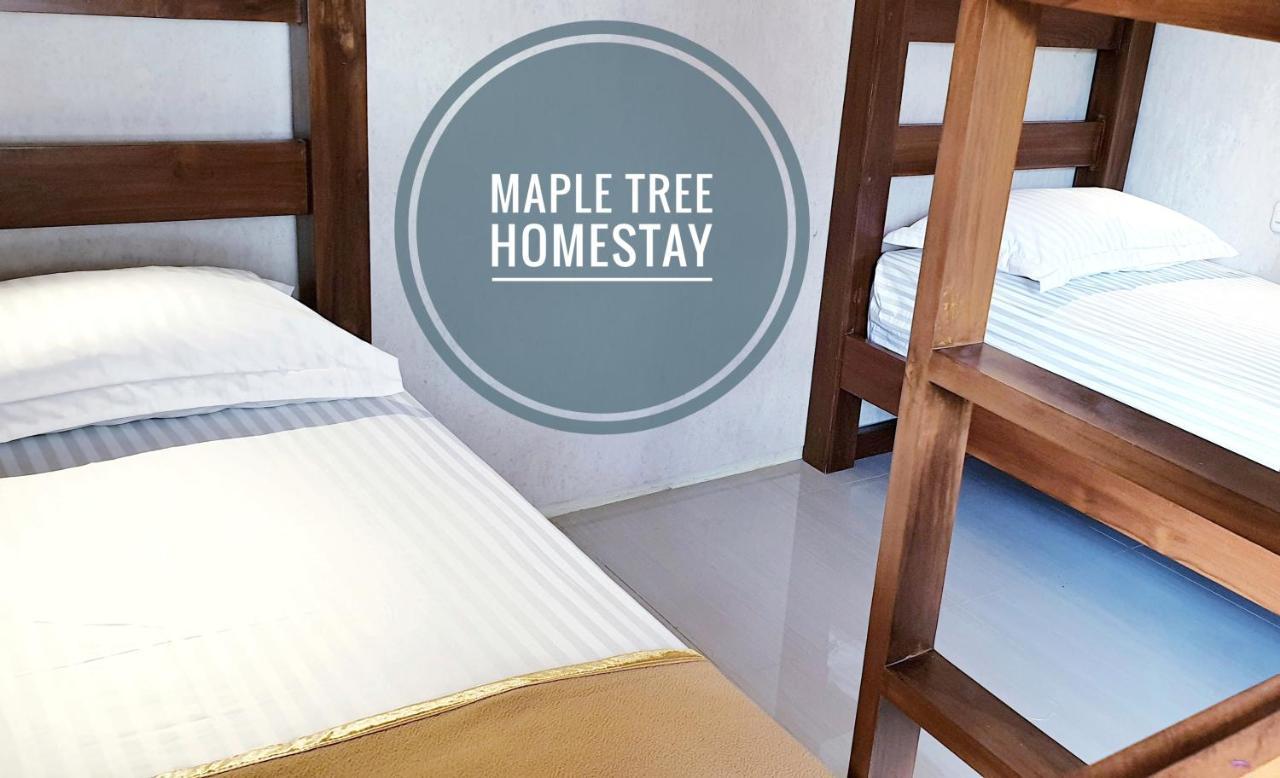 Maple Tree Homestay Maguwo Buitenkant foto