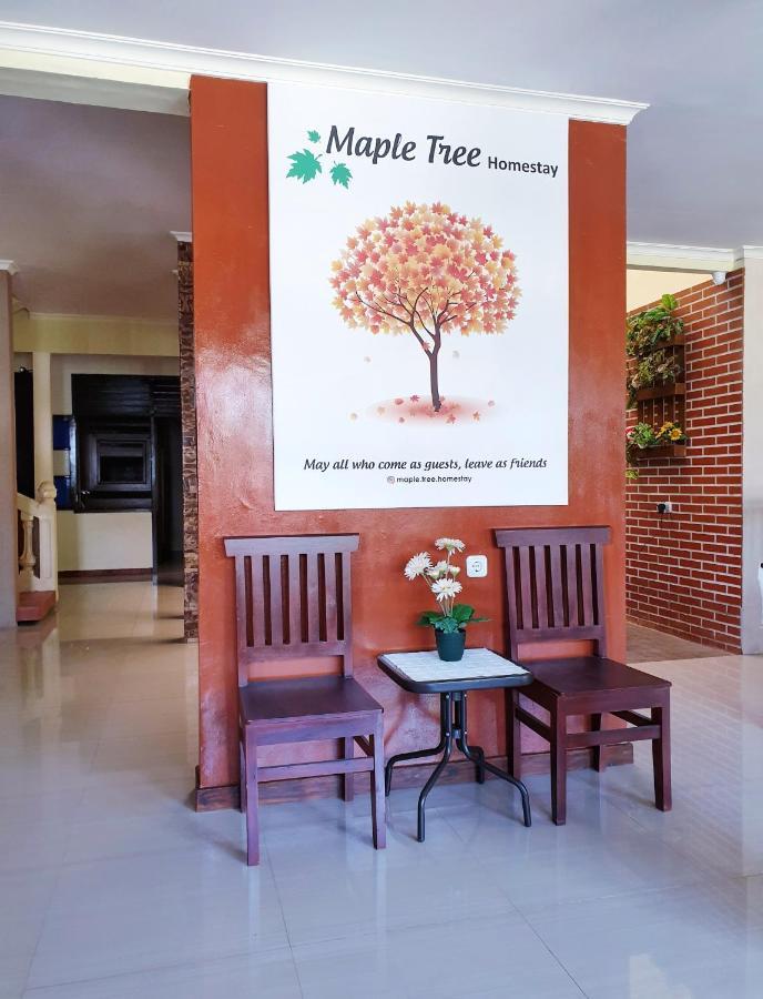 Maple Tree Homestay Maguwo Buitenkant foto