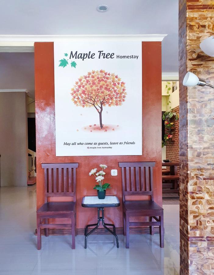 Maple Tree Homestay Maguwo Buitenkant foto